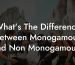 What's The Difference Between Monogamous And Non Monogamous?