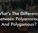 What's The Difference Between Polyamorous And Polygamous?