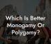 Which Is Better Monogamy Or Polygamy?
