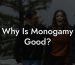 Why Is Monogamy Good?